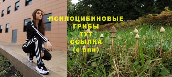 таблы Армянск