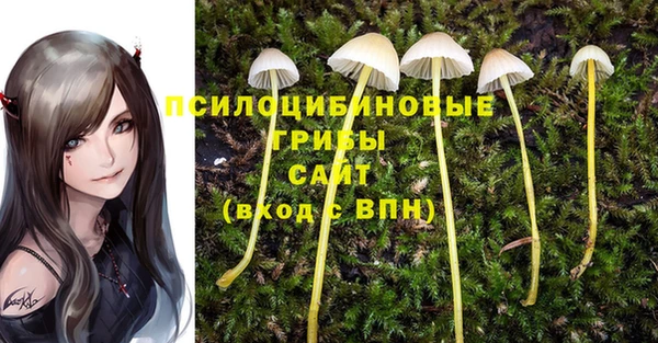 круглые Арсеньев